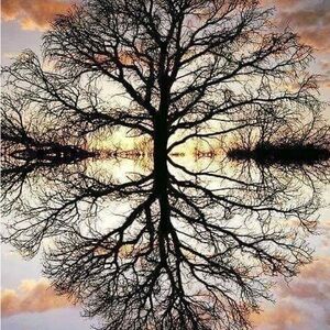 GOING LIVE NOW!! @calmqueen